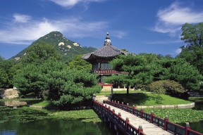 2026 全球马拉松赛季：波士顿、伦敦、芝加哥大满贯报名指南。，马拉松世界赛事