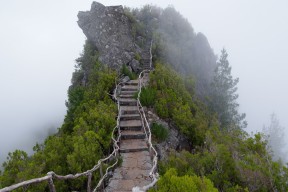 世界短道速滑赛季规划：选手出场频率与状态维护，短道速滑世界锦标赛