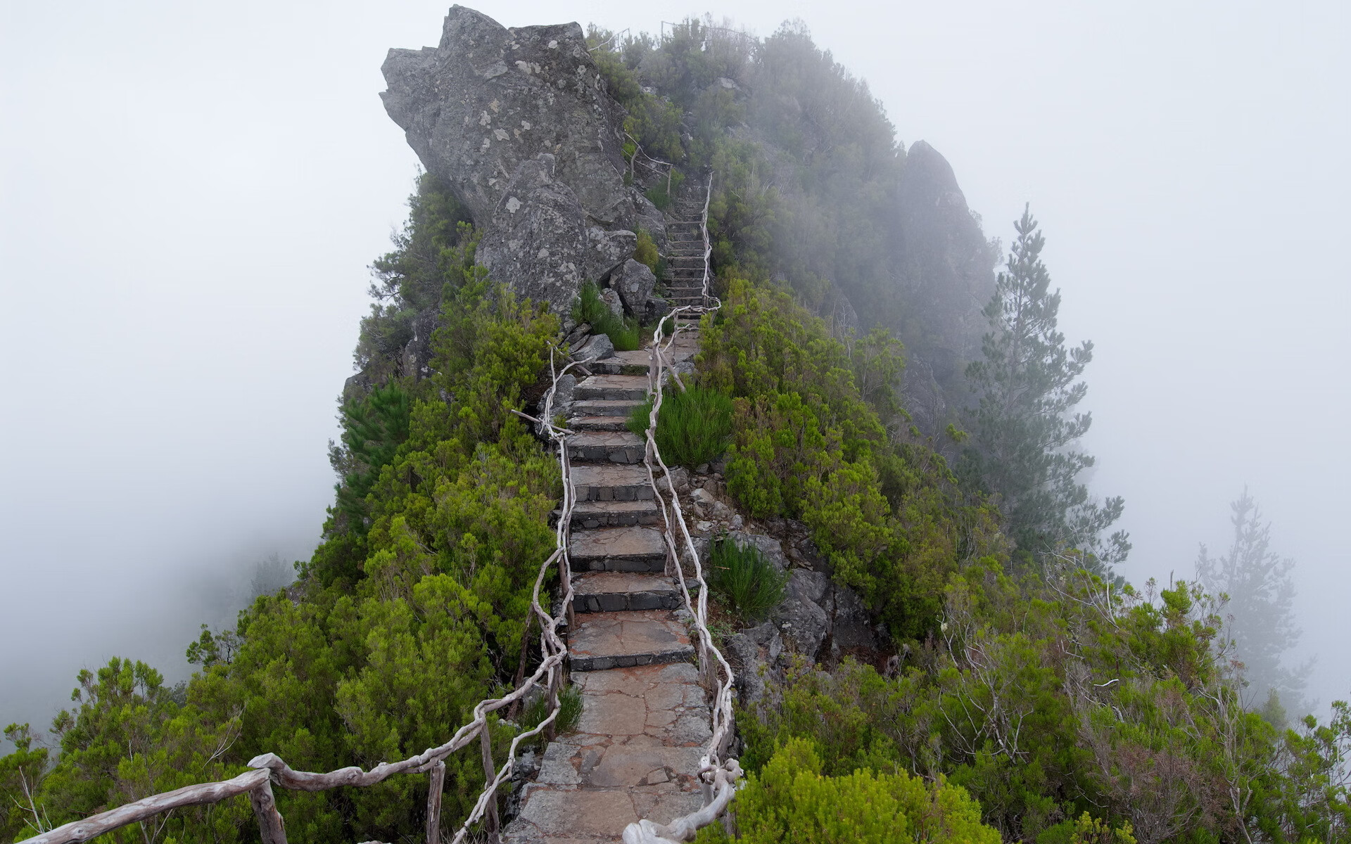 世界短道速滑赛季规划：选手出场频率与状态维护，短道速滑世界锦标赛